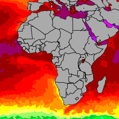 Today Africa sea temperatures
