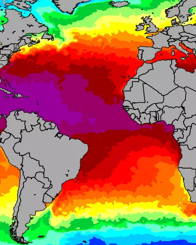 Atlantic Ocean temperature map