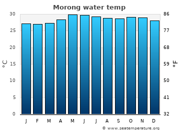 Morong average sea sea_temperature chart