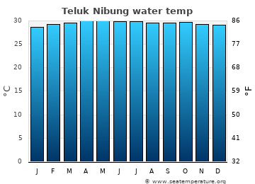 Teluk Nibung average sea sea_temperature chart