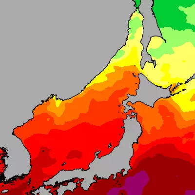 Sea of Japan temperature map