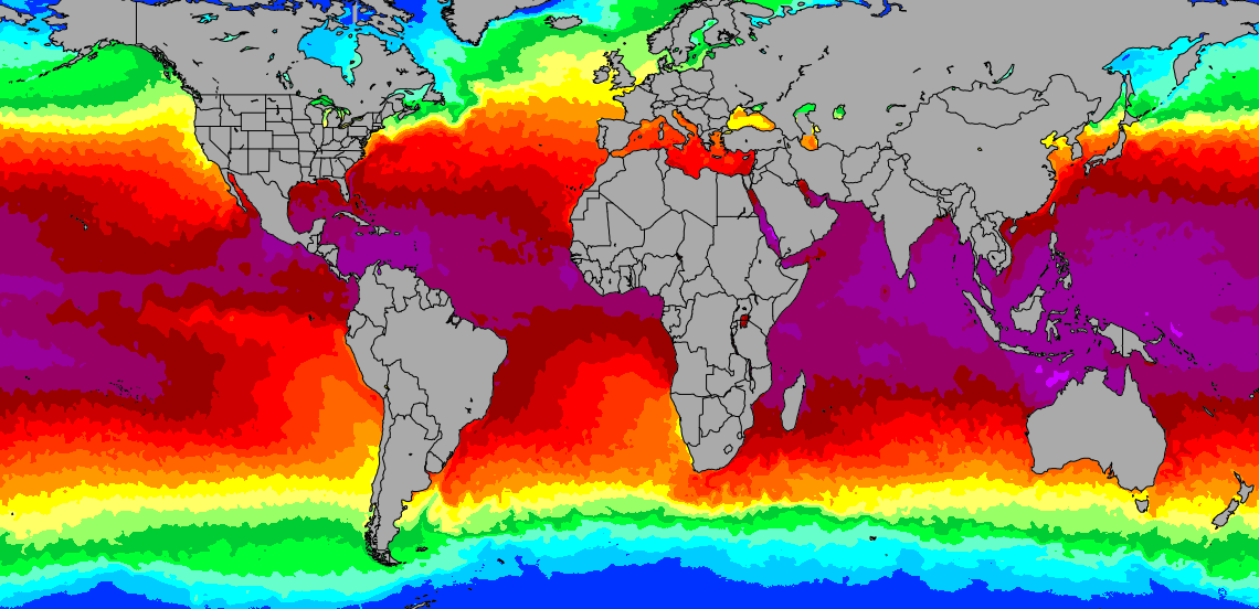 Global water Temperature map 20th Nov 2024