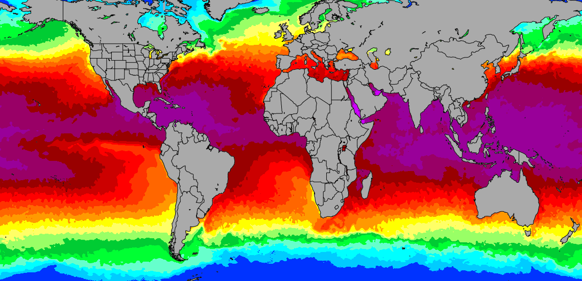 Global water Temperature map 29th Oct 2024